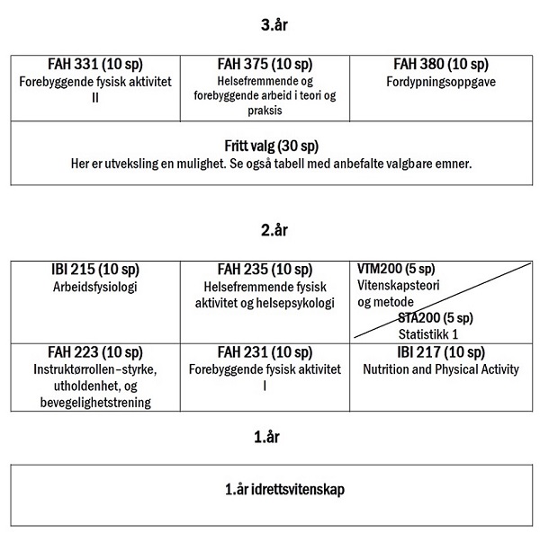 bilde av tabellen som viser studieoppbygning 2016-2017